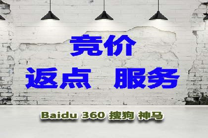 某某sem推广公司实战案例：精准投放提升转化率